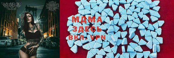 индика Алзамай